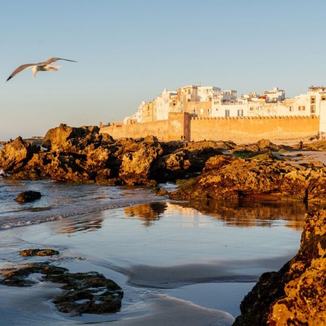Essaouira Tours