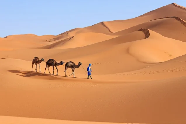 Erg chegaga dunes
