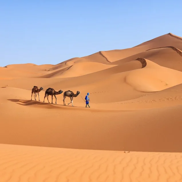 Erg chegaga dunes