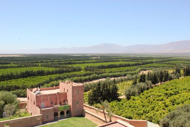 Taroudant